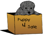 puppy4sale.gif