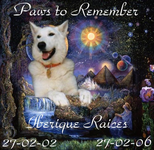 Paws%20to%20Remember.jpg